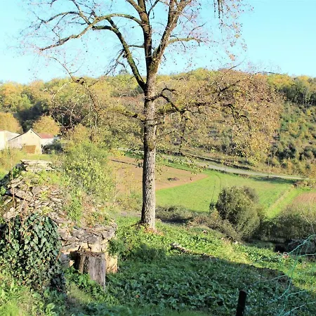 Maison Avec Terrasse Entre Domme Et La Roque-gageac, Ideale Famille, Calme Et Verdure - Fr-1-616-28 Holiday home *