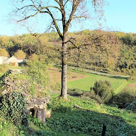 منزل ريفي Maison De Plain-pied Pres De Sarlat Avec Terrasse Et Barbecue - Fr-1-616-28 *